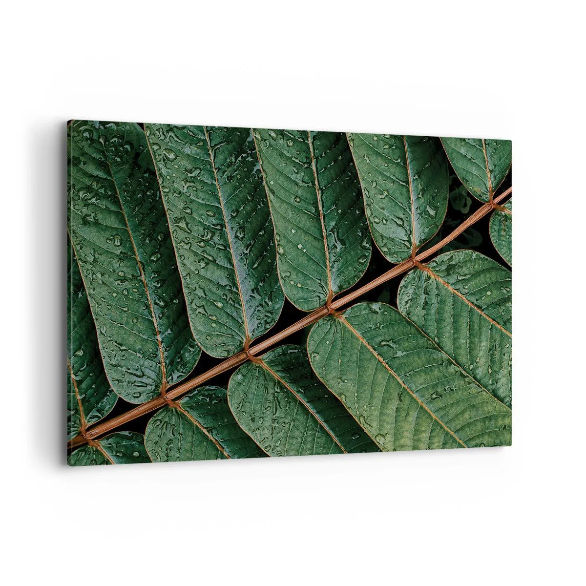 Schilderen op canvas - In een groen ritme - 120x80 cm