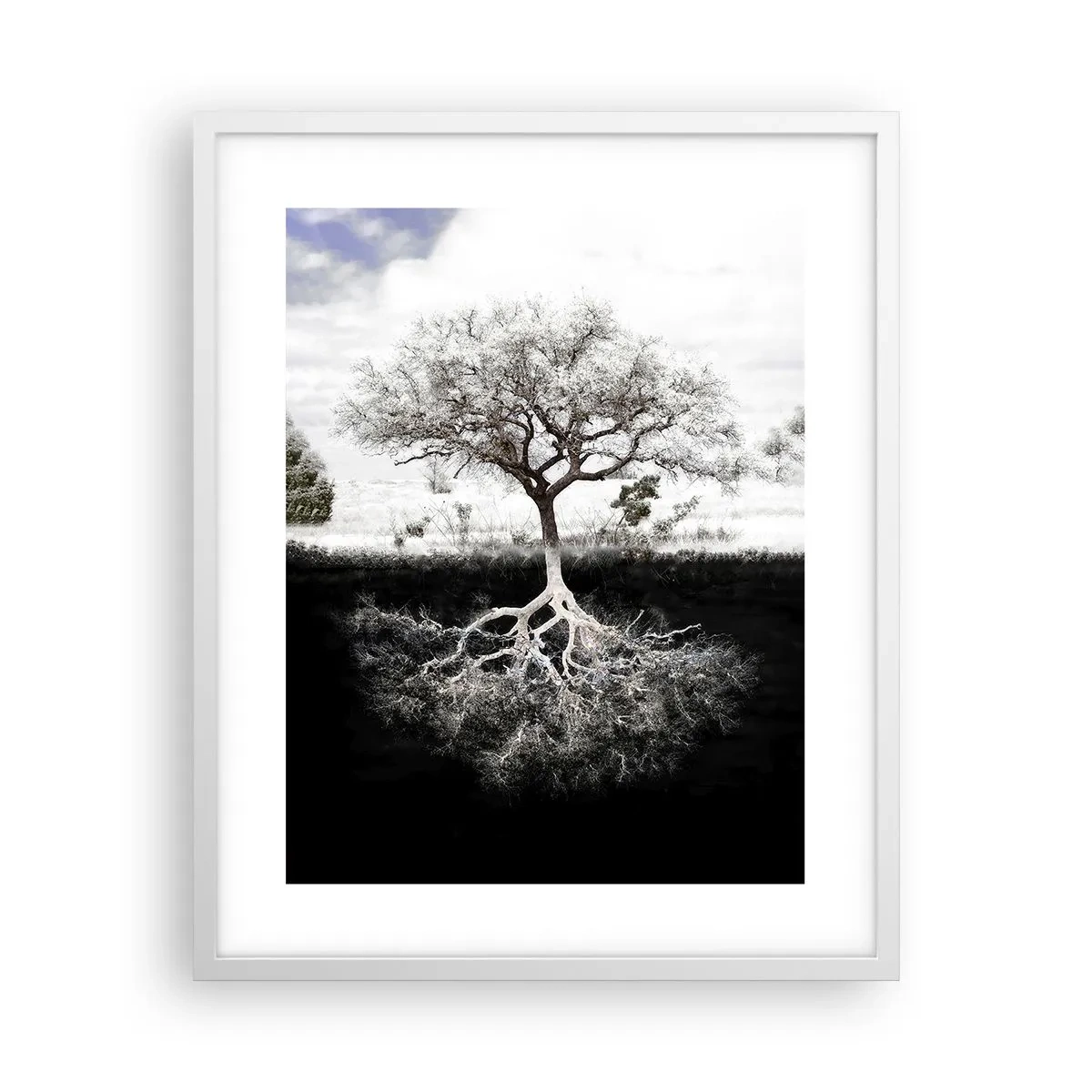 Poster in een witte lijst - De natuur van de wereld ontdekken - 40x50 cm