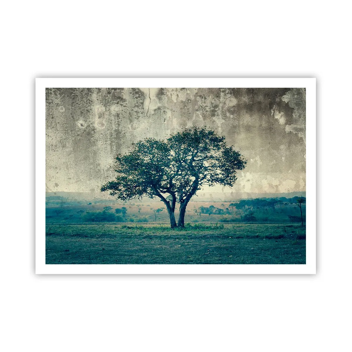 Poster - Een appelboom op een blauw veld? - 100x70 cm
