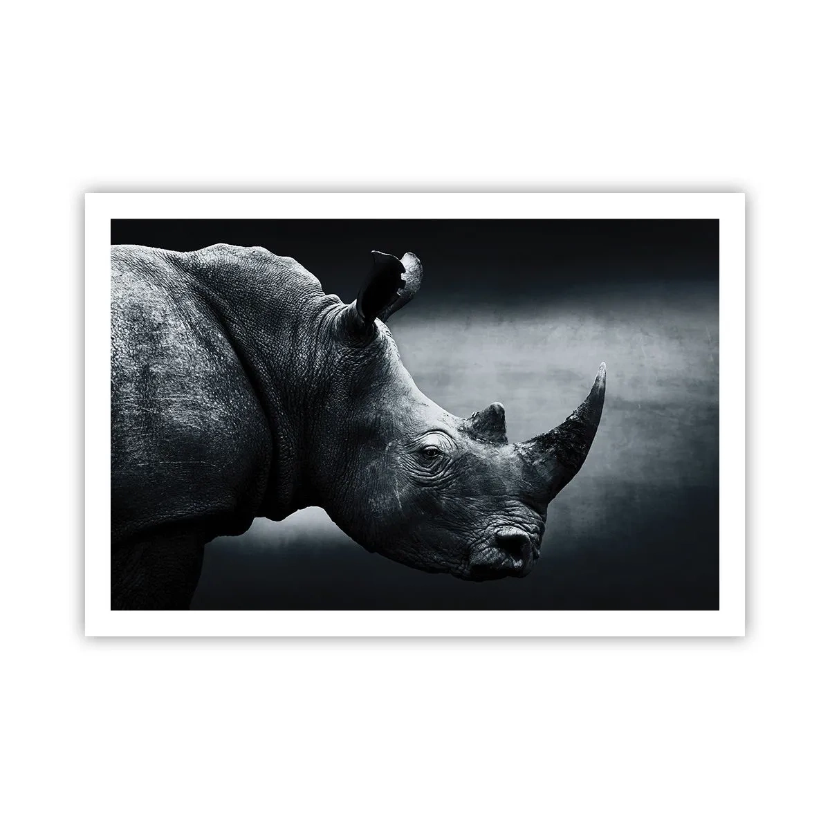 Poster - Rechts profiel - 91x61 cm