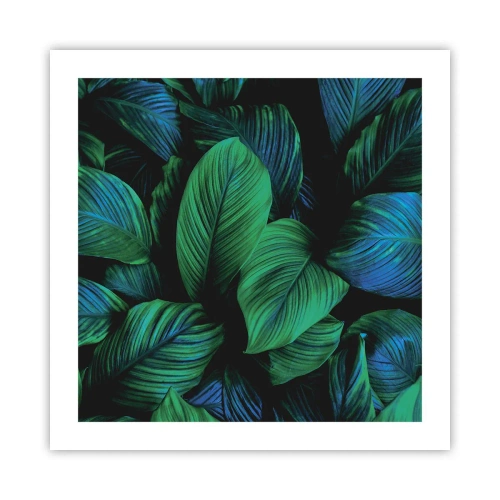 Poster - In de groene menigte - 50x50 cm