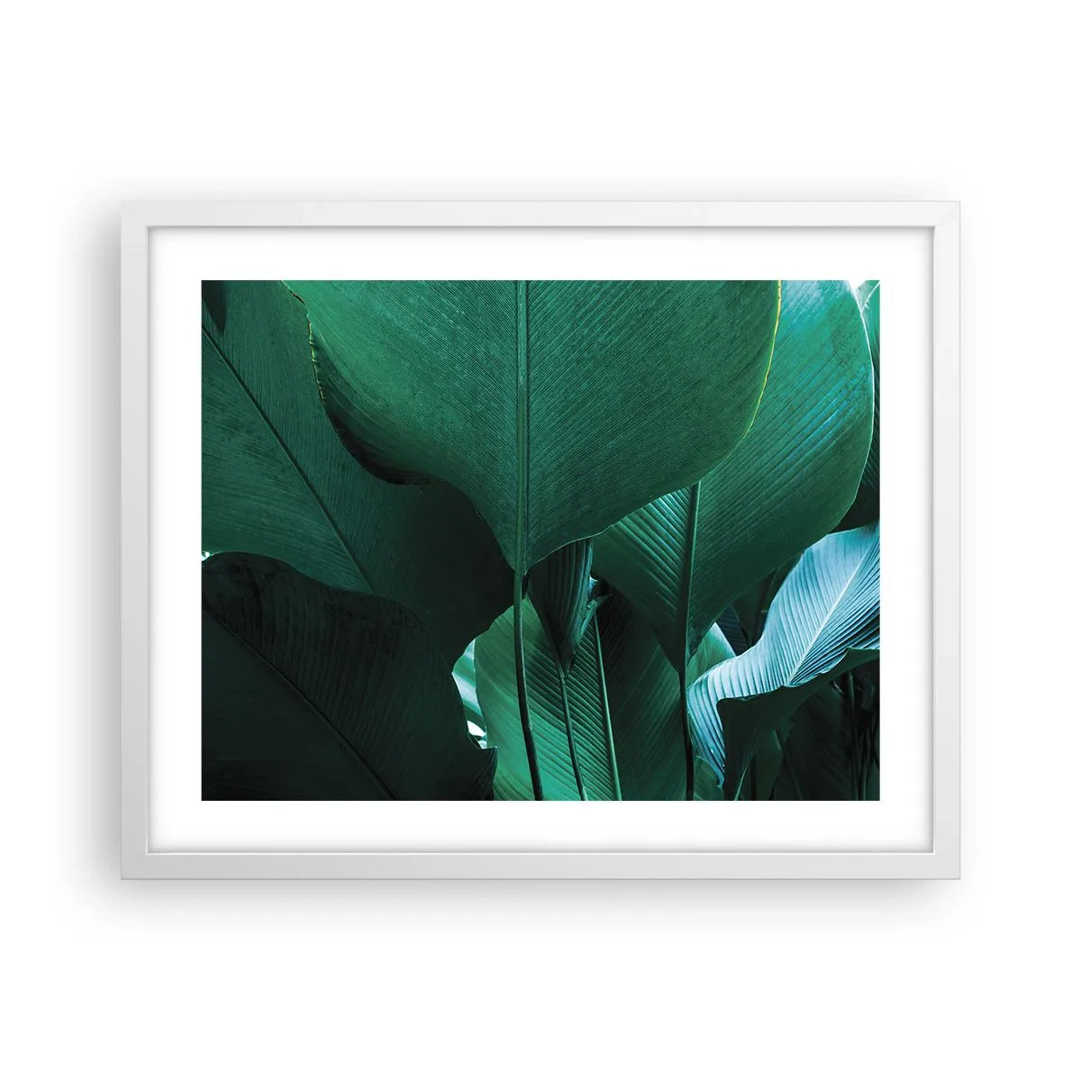 Poster in een witte lijst - Naar het licht gekeerd - 50x40 cm