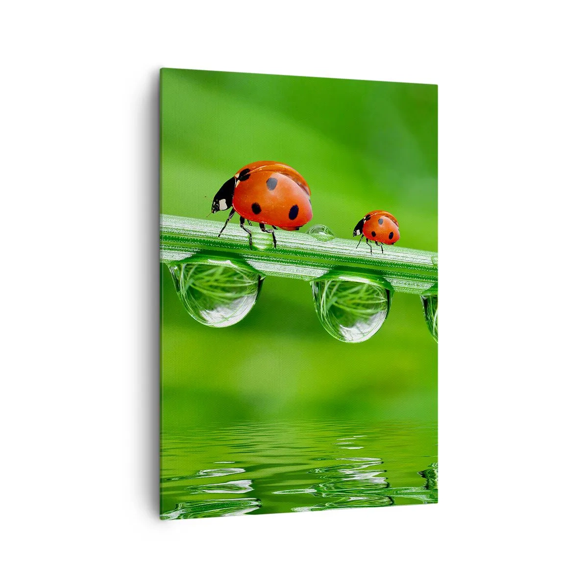 Schilderen op canvas - De hele zomer onderweg - 70x100 cm