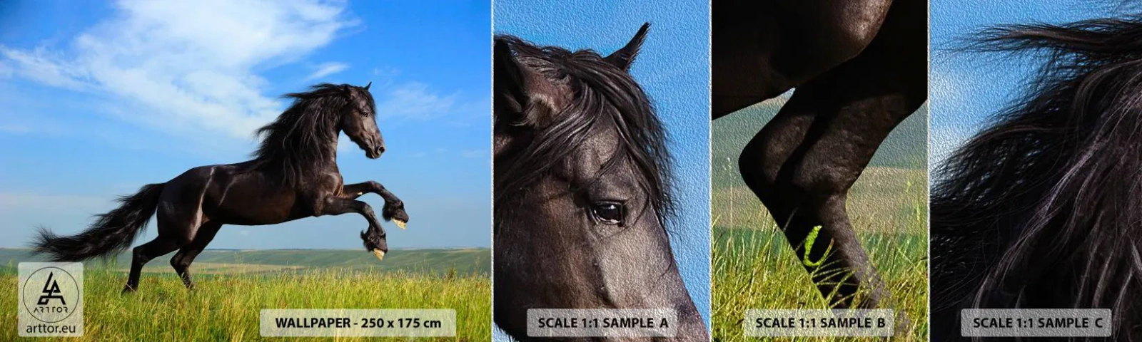 Fotobehang Monster Premium Sand - Een spannend manifest van vrijheid - Dieren, Paard, Landschap - 100x30 cm