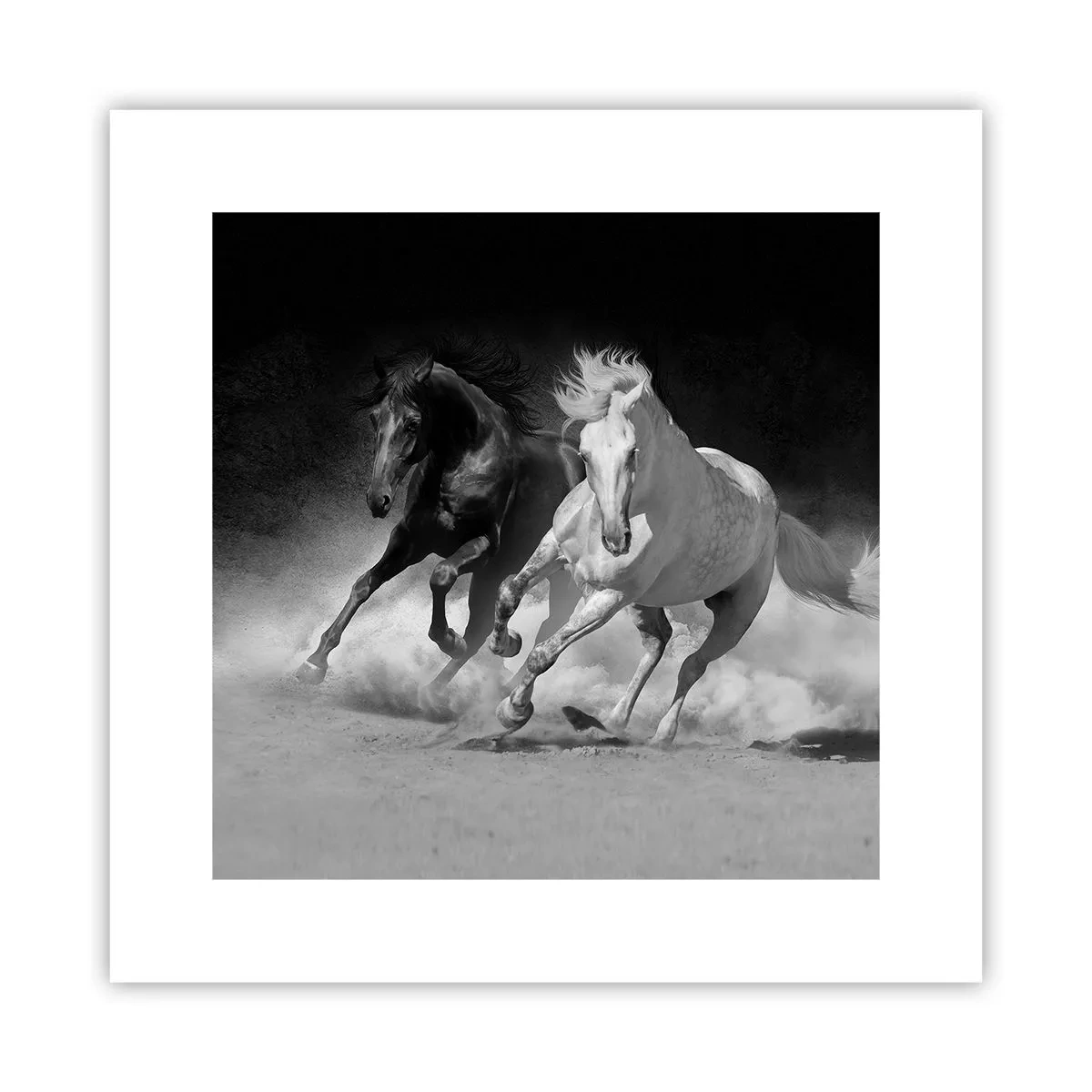 Poster - Vrijheidsgalop - 30x30 cm