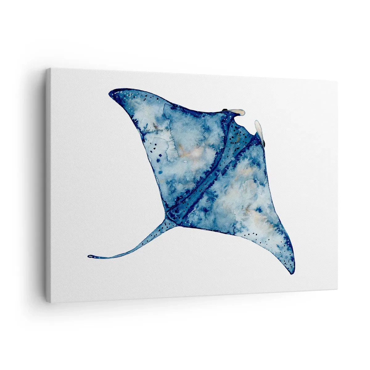 Schilderen op canvas - Blauwe pijlstaartrog in aquarelstijl op witte achtergrond - 70x50cm - Leven in blauw - Moderne wanddecoratie voor woonkamer en slaapkamer ARTTOR
