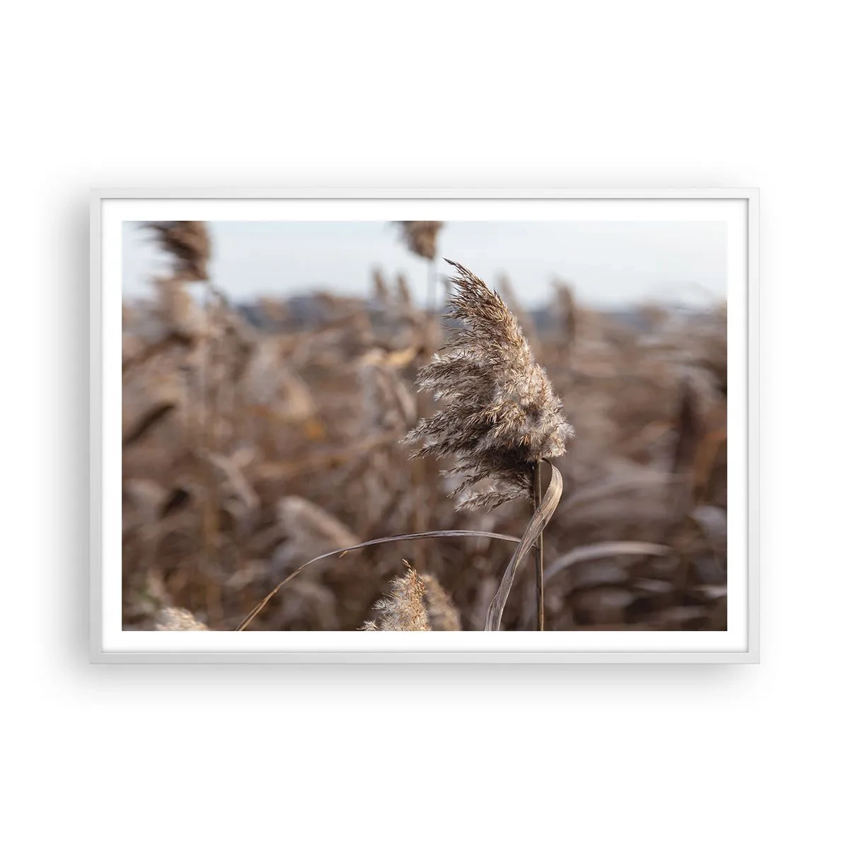 Poster in een witte lijst - Tijd om met de wind mee te gaan - 100x70 cm