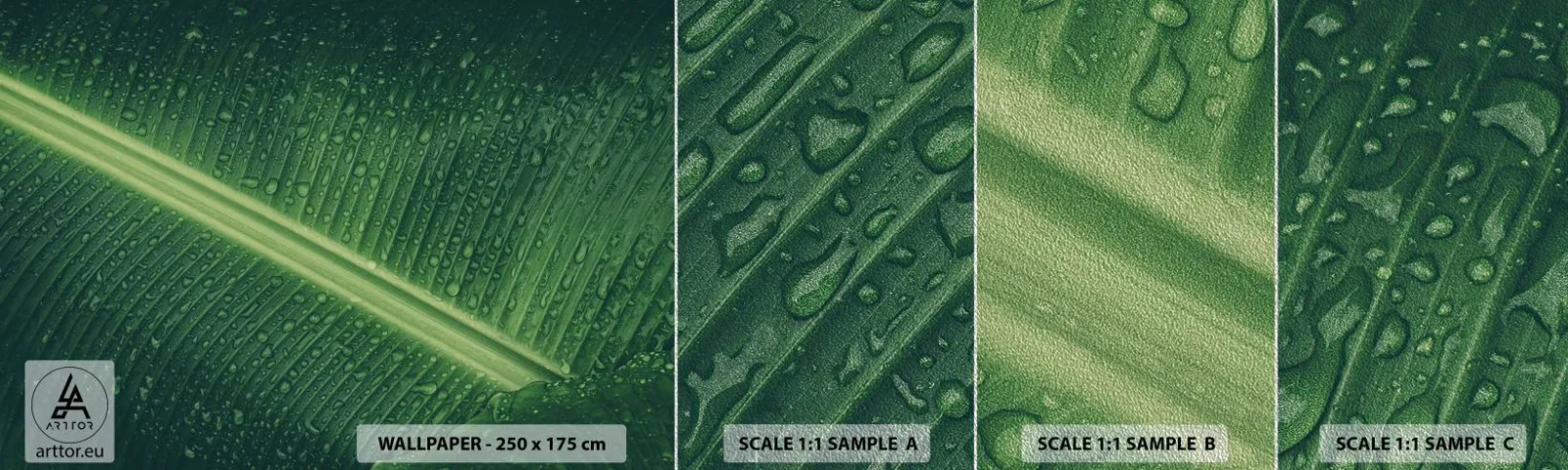 Fotobehang Monster Premium Sand - De structuur van groen - Groen blad, Tropische plant, Deel - 100x30 cm