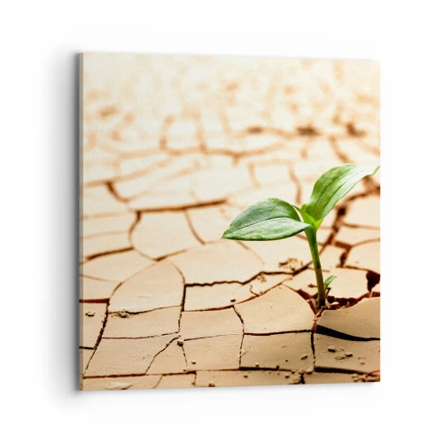 Schilderen op canvas - De ontembare kracht van het leven - 70x70 cm