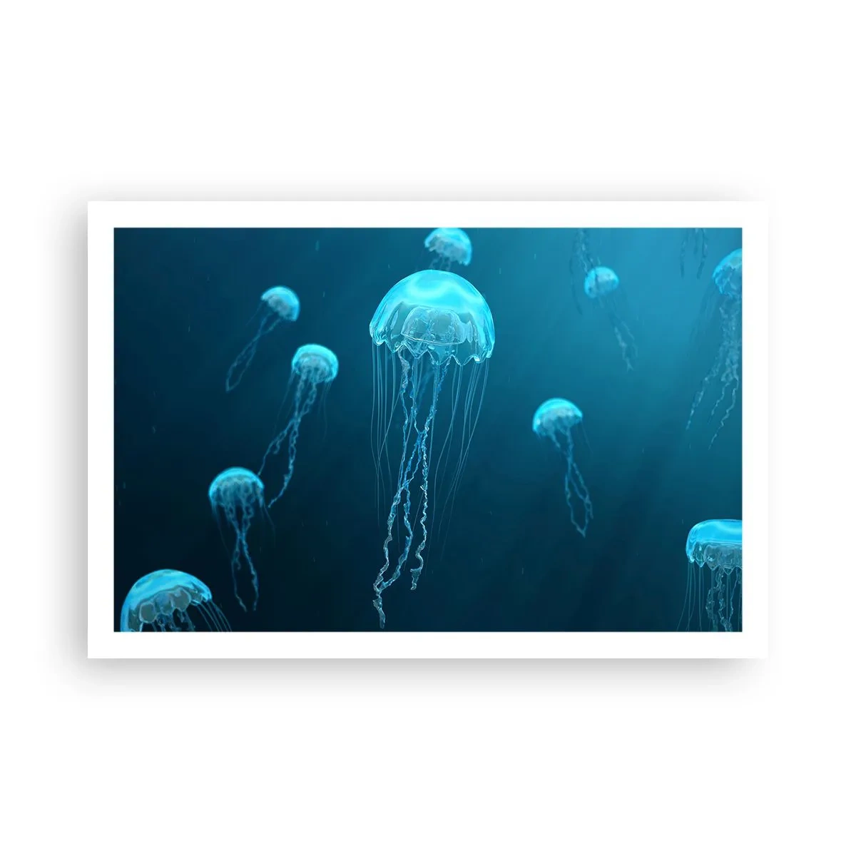 Poster - Oceaandans - 91x61 cm