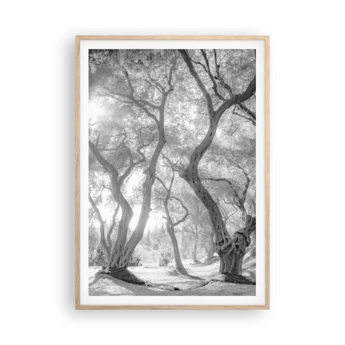 Een poster in een licht eiken lijst - In de olijfboomgaard - 70x100 cm