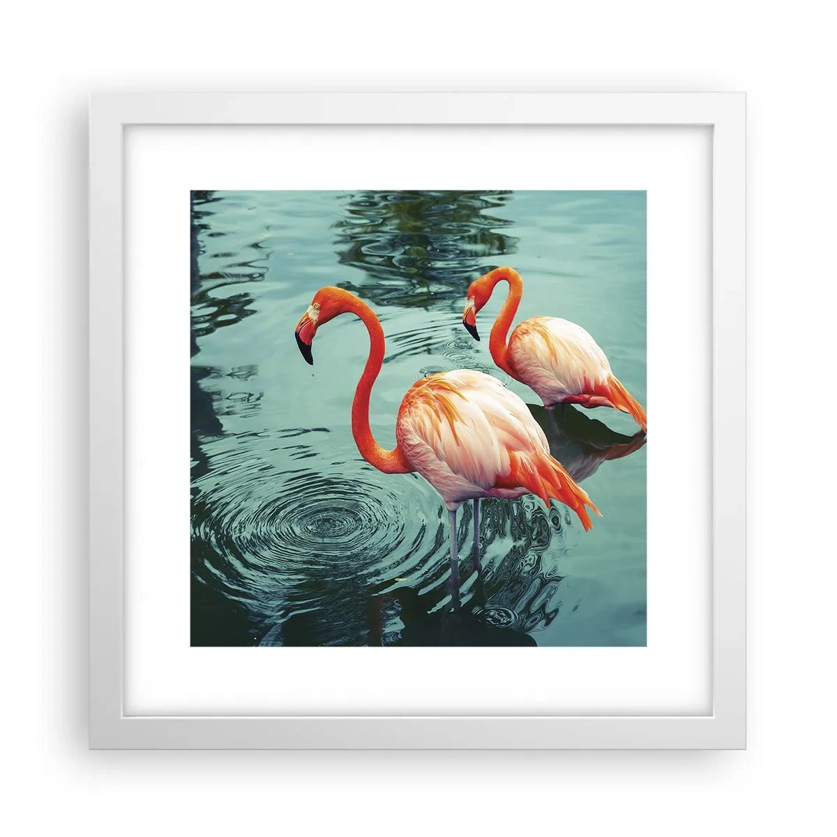 Poster in een witte lijst - We zijn nu in de mode - 30x30 cm