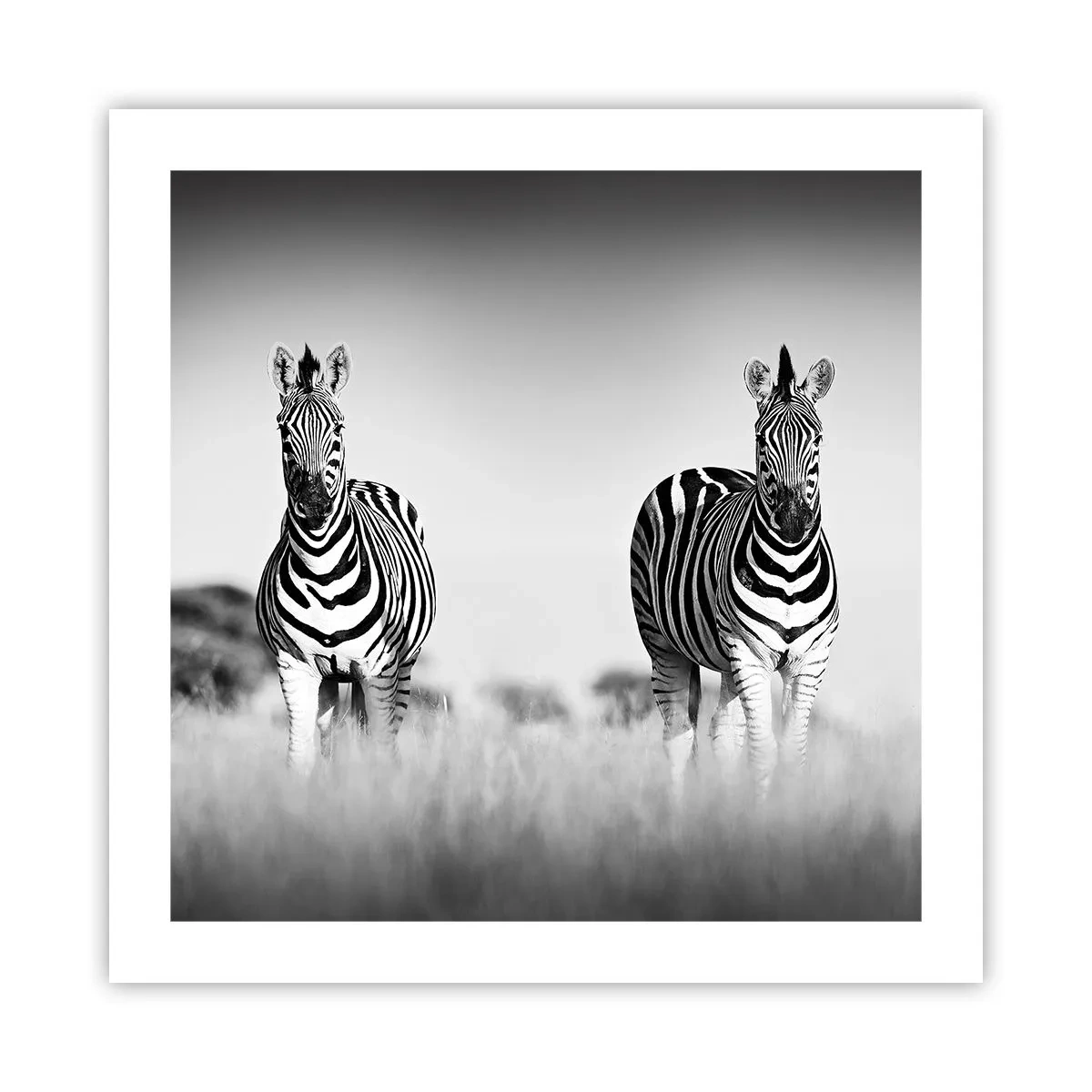 Poster - Toch is de wereld zwart-wit - 50x50 cm