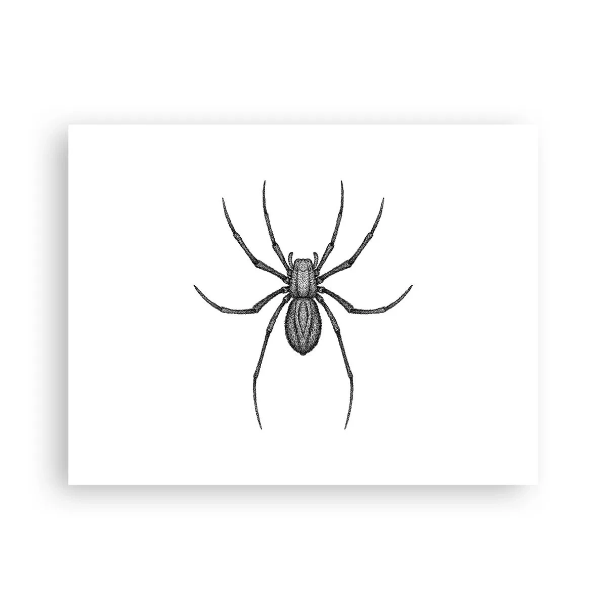 Poster - Verontrustende precisie - 40x30 cm