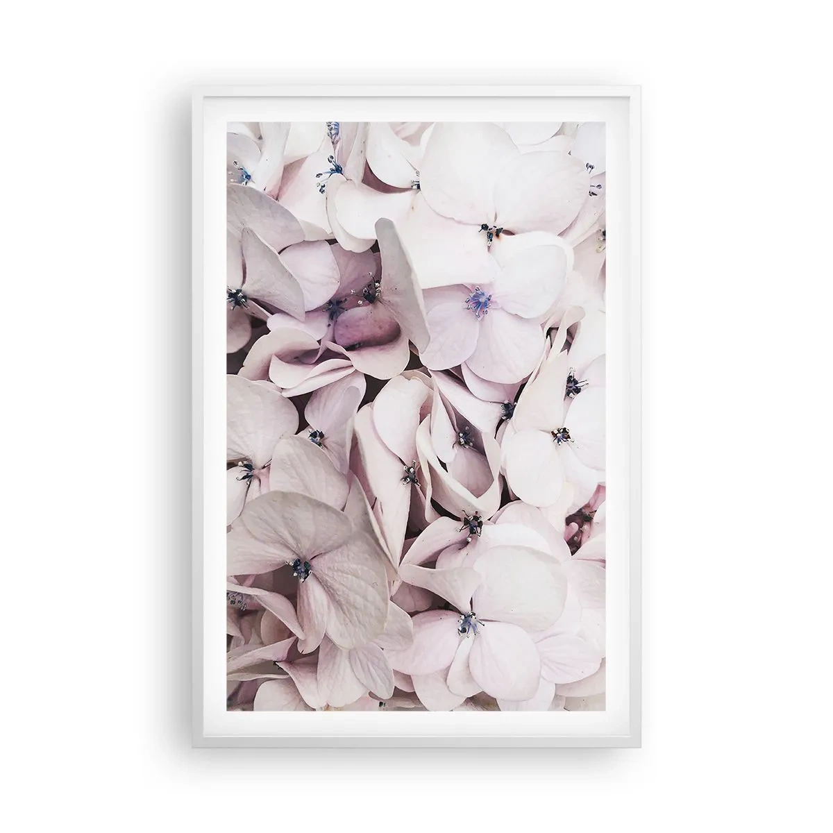 Poster in een witte lijst - In een vloed van bloemen - 61x91 cm