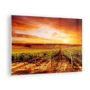 Schilderen op glas - Wijnstokken in een veld bij zonsondergang - 70x50cm - Licht fruitig met een vleugje zonneschijn - Moderne wanddecoratie voor woonkamer en slaapkamer ARTTOR