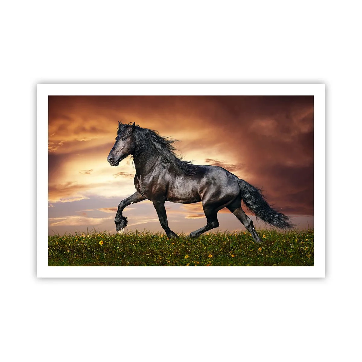 Poster - Zwarte Prins - 91x61 cm