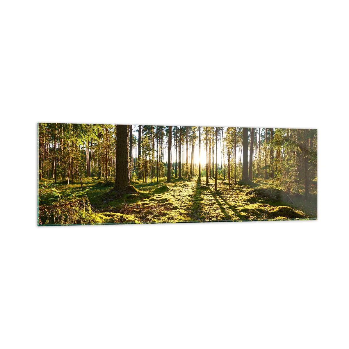 Schilderen op glas - … Achter de zeven bossen - 160x50 cm