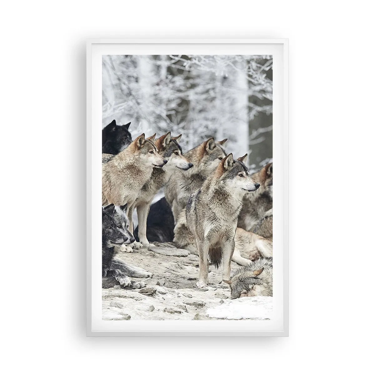 Poster in een witte lijst - Familie en vrienden - 61x91 cm