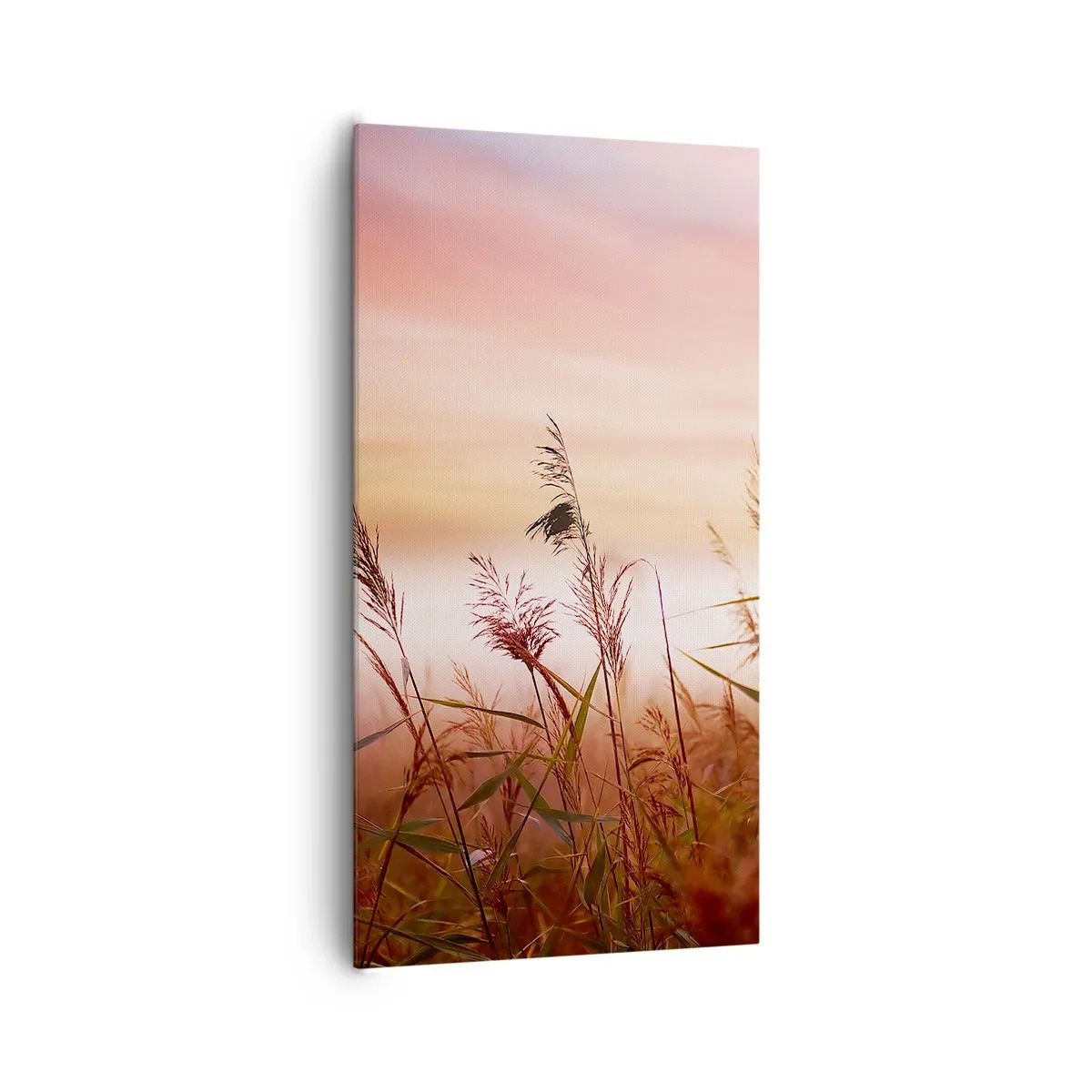 Schilderen op canvas - Vliegers, paardebloemen, wind - 65x120 cm