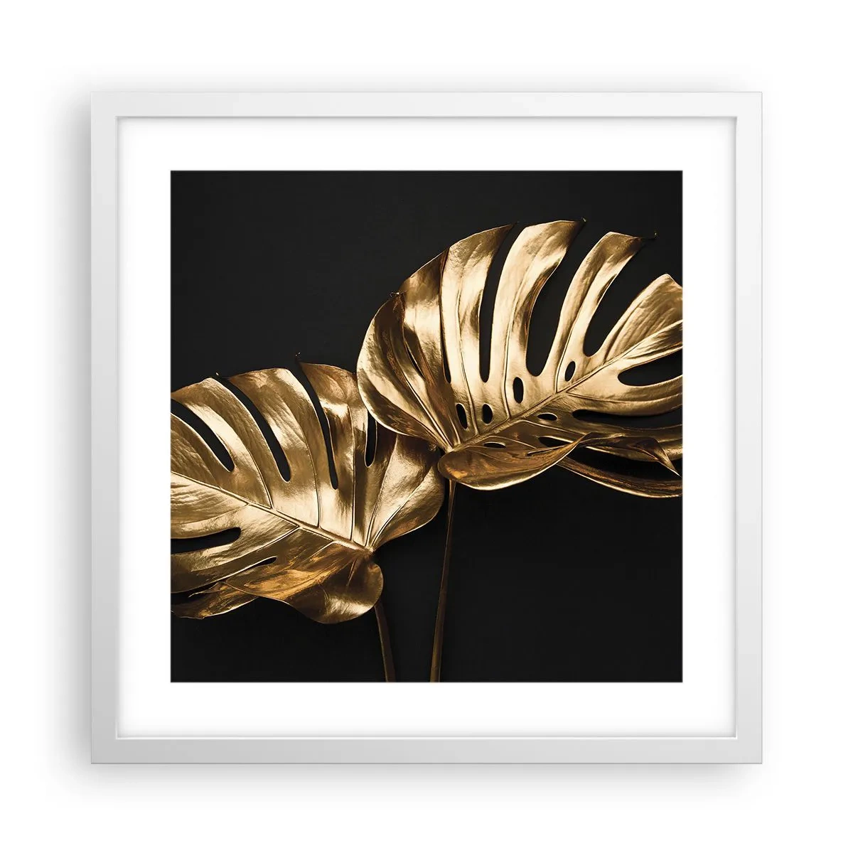 Poster in een witte lijst - De schatten van de natuur - 40x40 cm