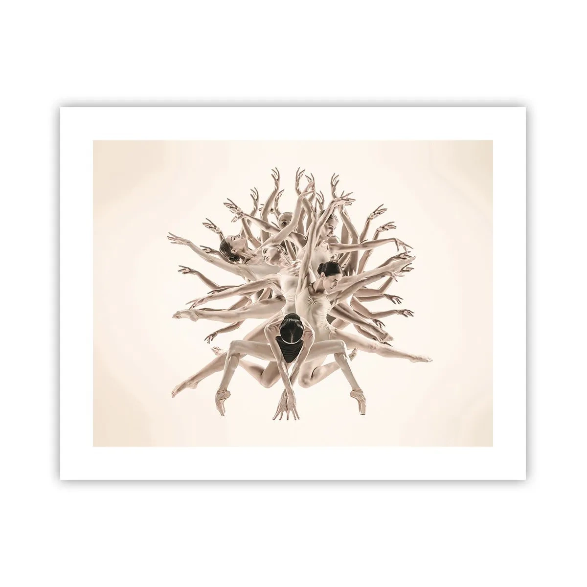 Poster - Bloeiend in dans - 50x40 cm