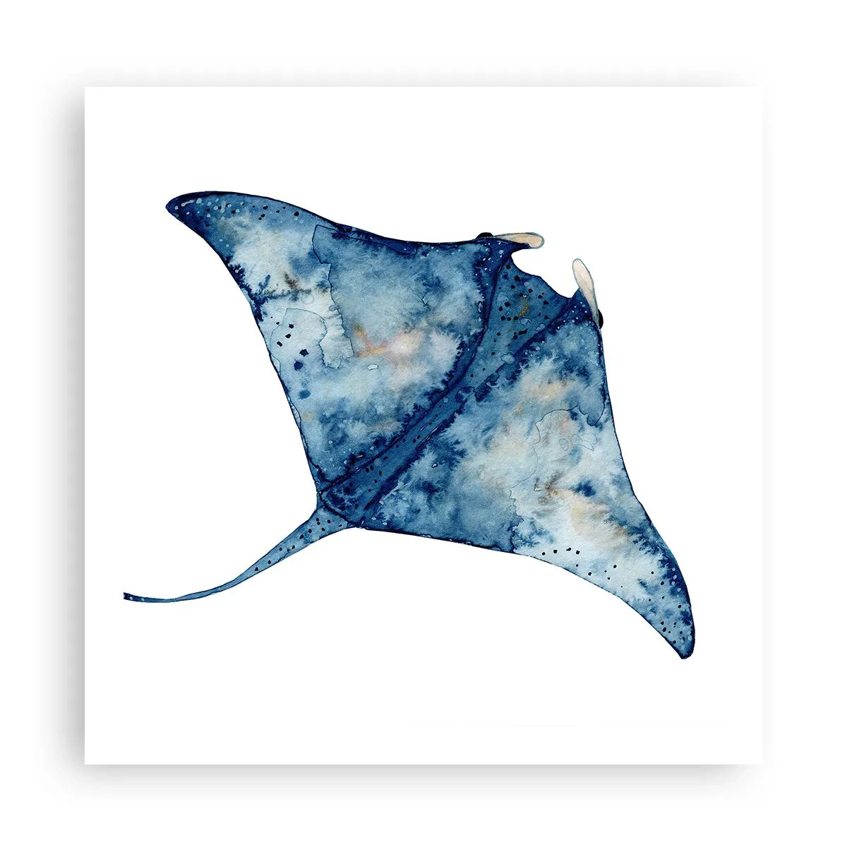 Poster - Leven in blauw - 60x60 cm