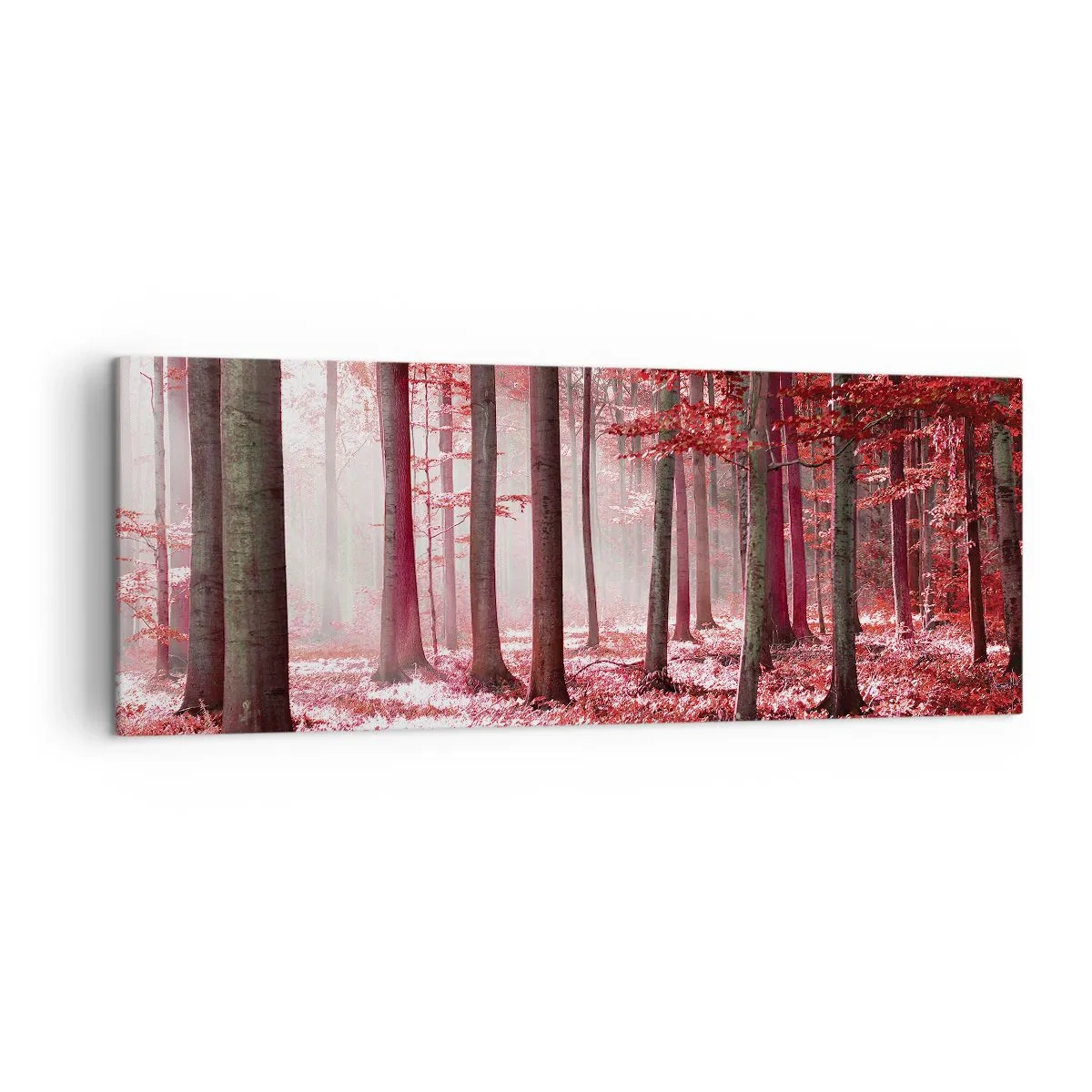 Schilderen op canvas - Rood is net zo mooi - 140x50 cm