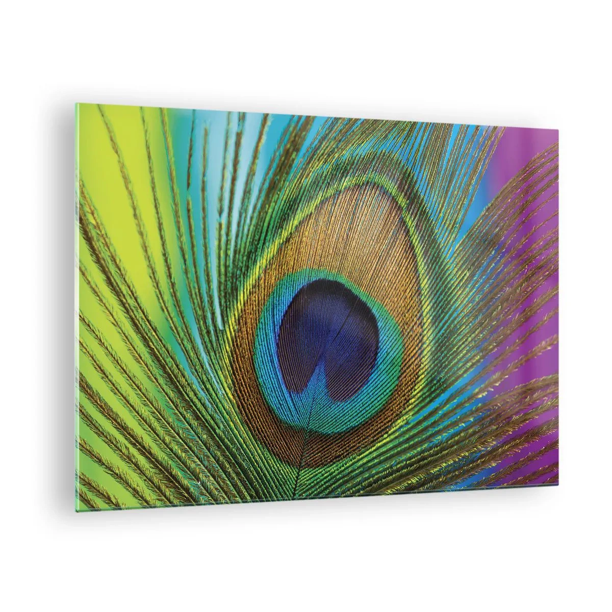 Schilderen op glas - Een close-up van een kleurrijke pauwenveer - 70x50cm - Oog in oog - Moderne wanddecoratie voor woonkamer en slaapkamer ARTTOR