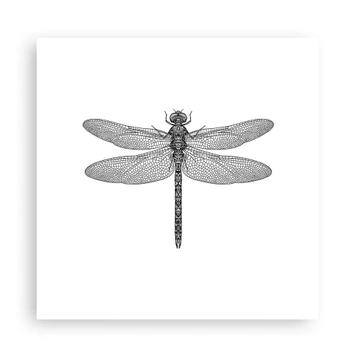 Poster - Precisie van de natuur - 30x30 cm