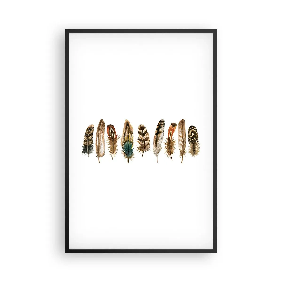 Poster in een zwarte lijst - Een gevederde variatie - 61x91 cm