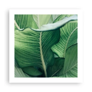 Poster - Intens groen leven - 50x50 cm