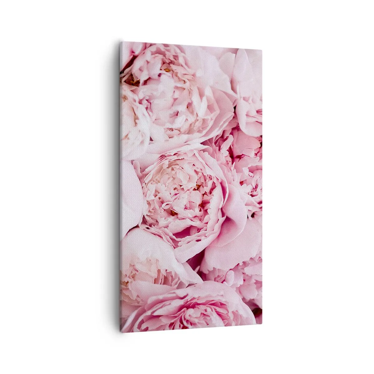 Schilderen op canvas - Knuffelend en geurig - 55x100 cm