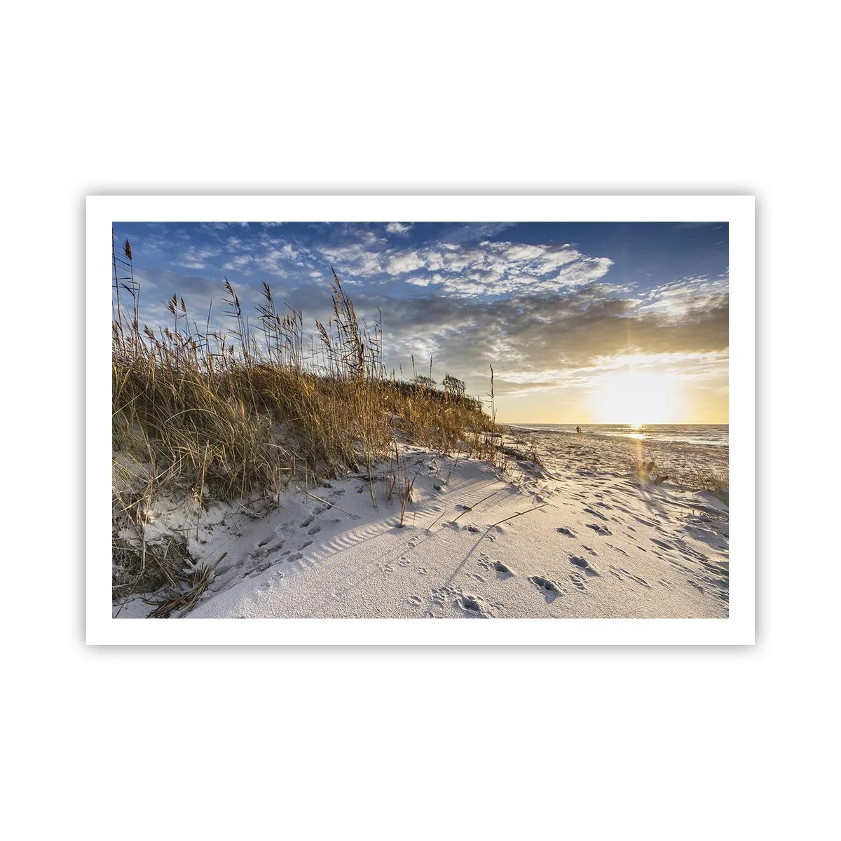 Poster - Een uitnodiging voor een wandeling - 91x61 cm