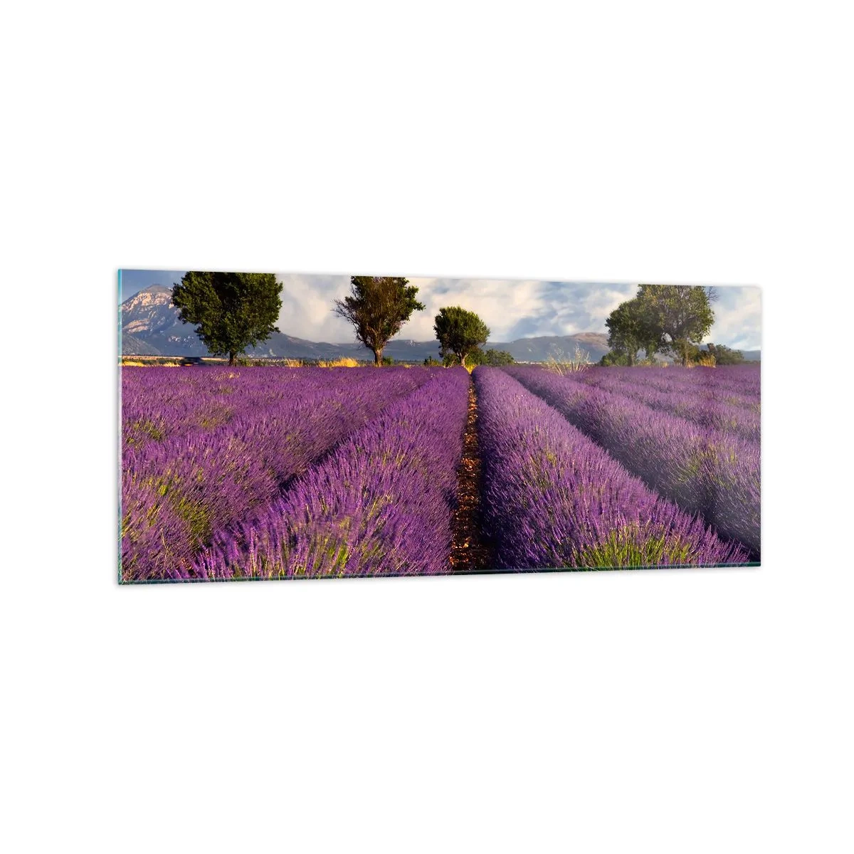 Schilderen op glas - Lavendel velden - 120x50 cm