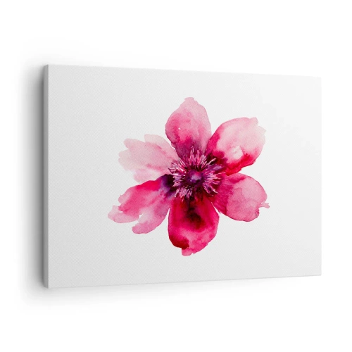 Schilderen op canvas - Roze bloem in aquarelstijl op witte achtergrond - 70x50cm - Een karmijnrode geurende kus - Moderne wanddecoratie voor woonkamer en slaapkamer ARTTOR