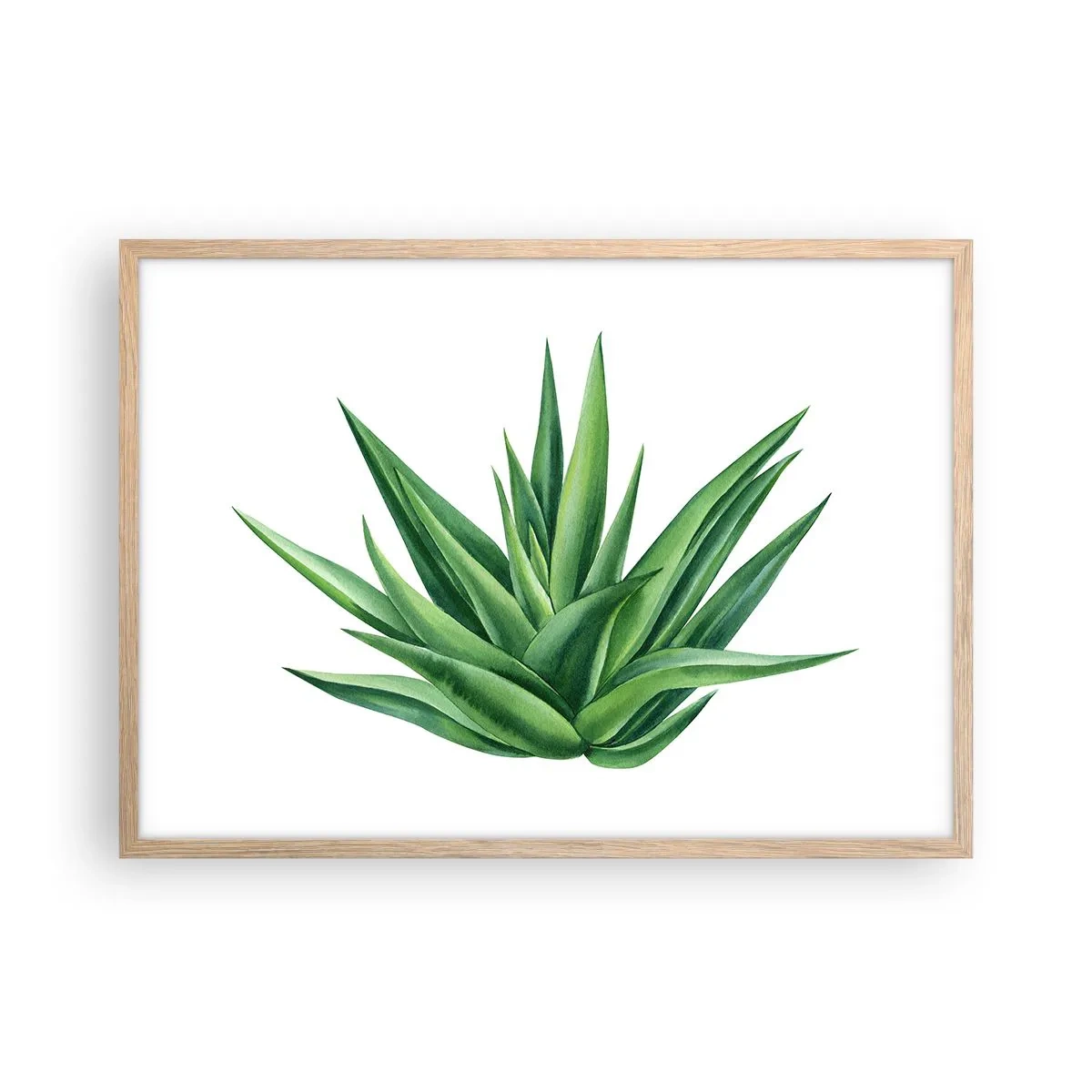 Een poster in een licht eiken lijst - Groen – kracht – leven - 70x50 cm