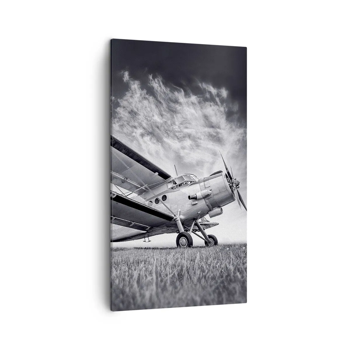 Schilderen op canvas - De gevleugelde zwerver - 45x80 cm