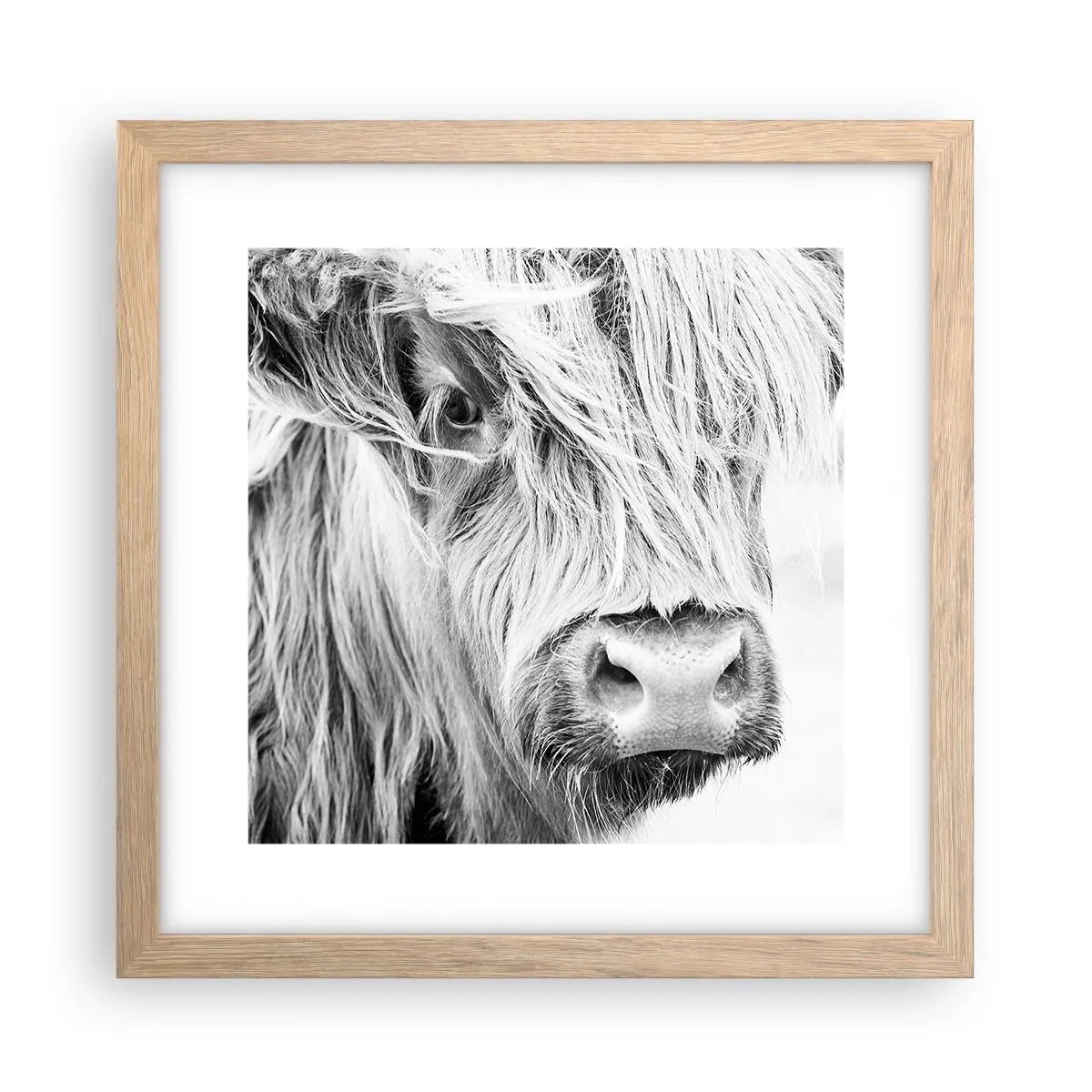 Een poster in een licht eiken lijst - Schotse wildheid - 30x30 cm