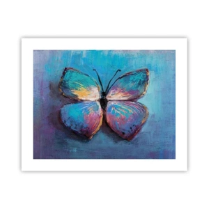 Poster - In al zijn glorie - 50x40 cm