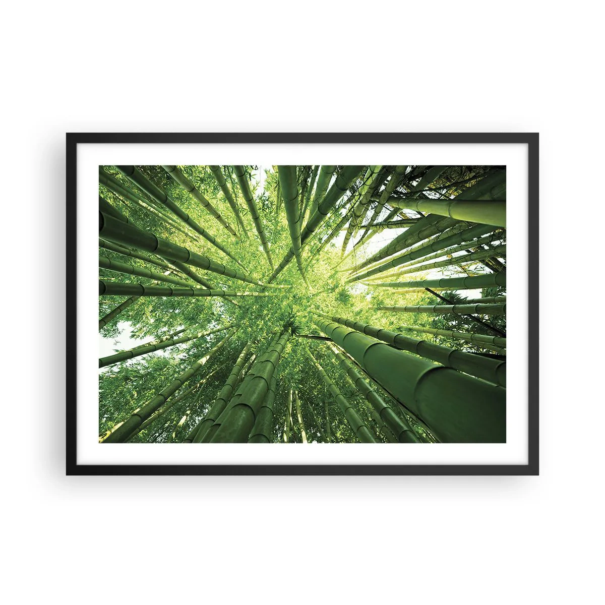Poster in een zwarte lijst - In een bamboebos - 70x50 cm