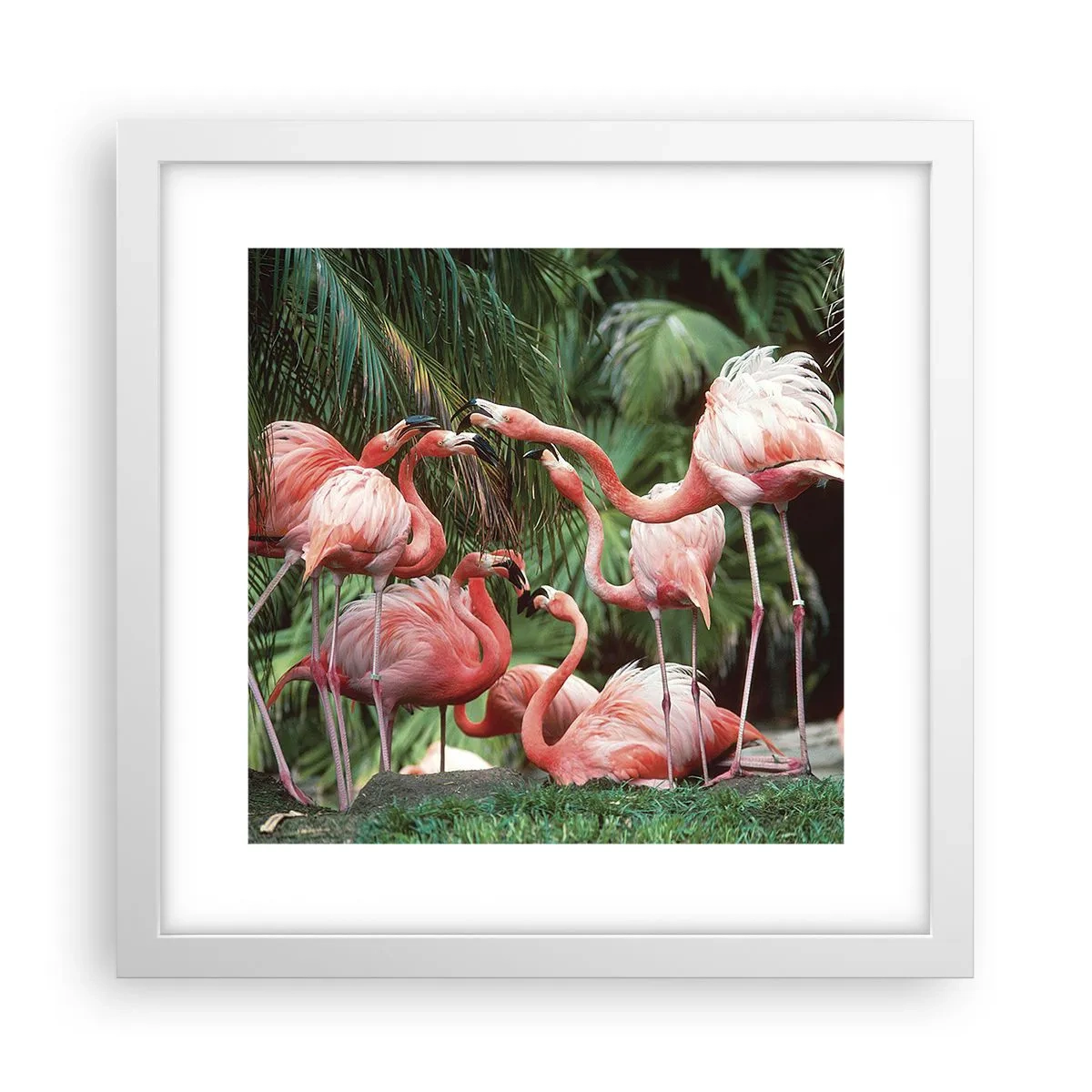 Poster in een witte lijst - Middag roddels - 30x30 cm