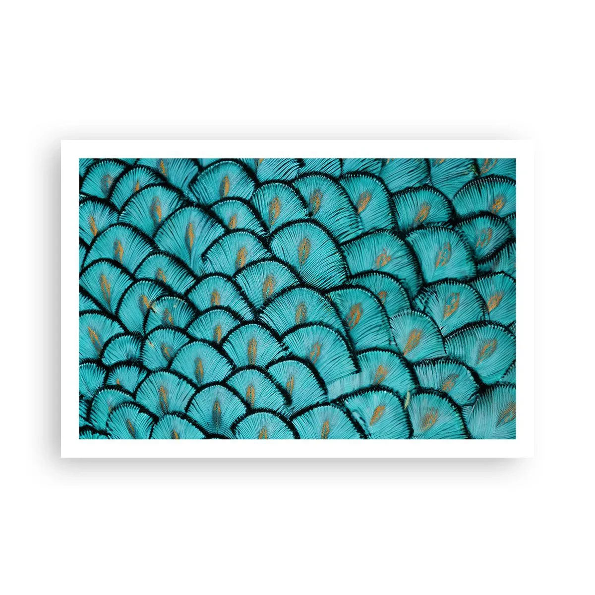Poster - Het grote verengala - 91x61 cm
