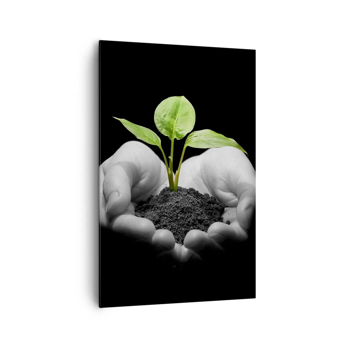 Schilderen op canvas - Ik hou van de natuur, ik bescherm haar - 80x120 cm