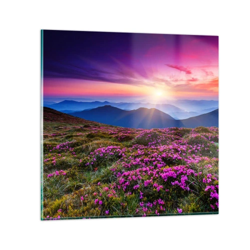 Schilderen op glas - Kruiden roken naar verse trossen van de velden - 70x70 cm