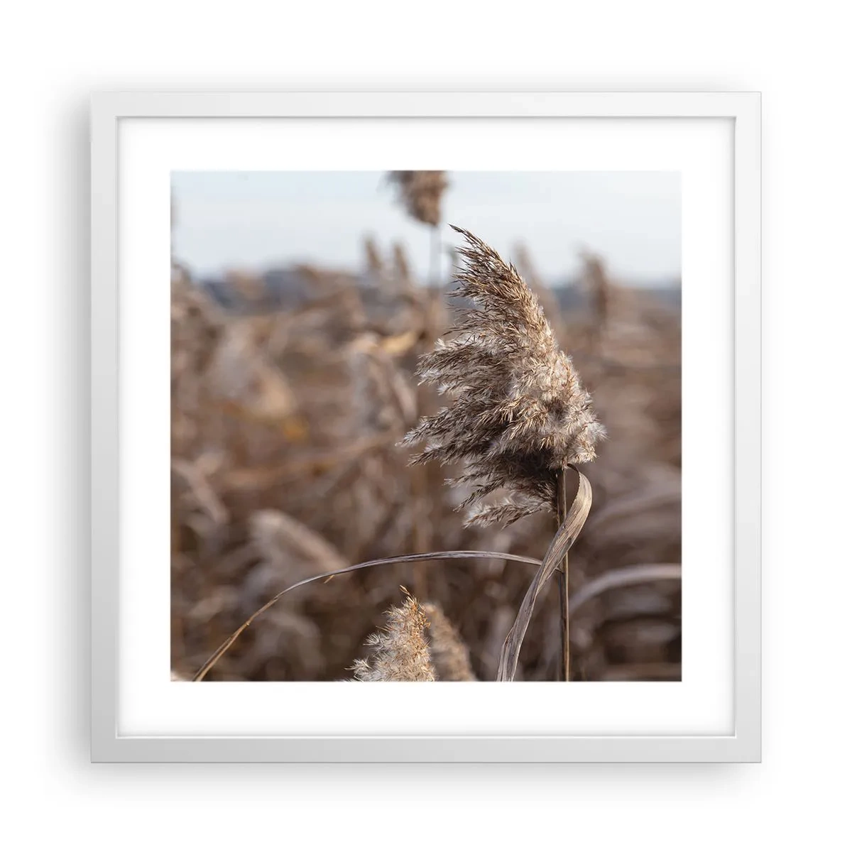 Poster in een witte lijst - Tijd om met de wind mee te gaan - 40x40 cm