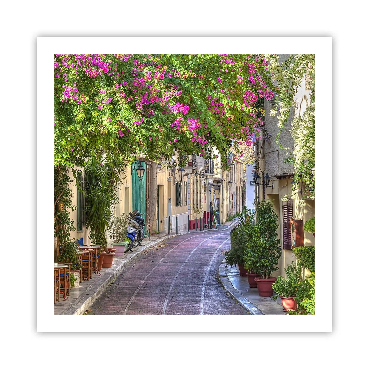 Poster - Bloeiende steeg - 60x60 cm
