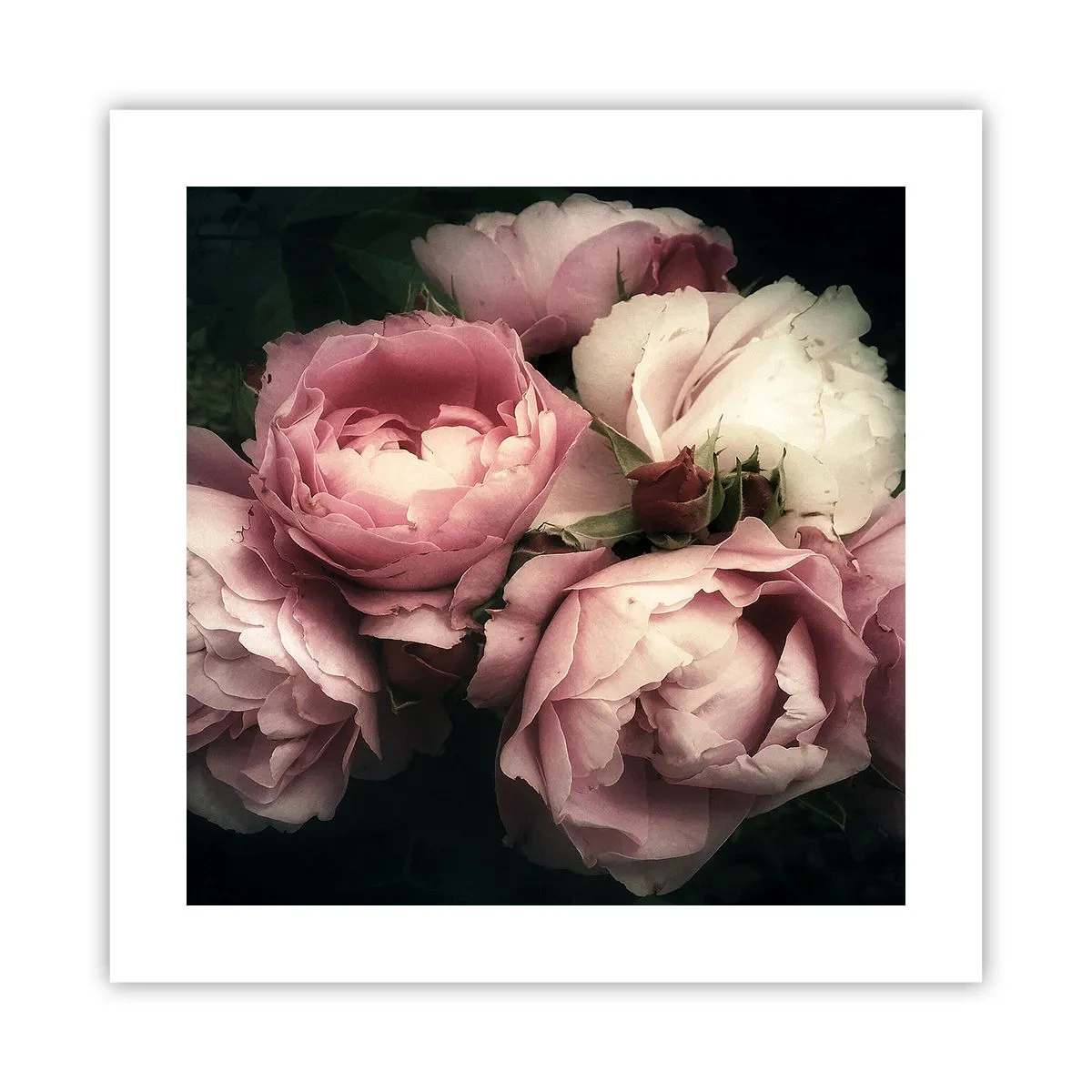 Poster - De charme van belle epoque - 40x40 cm