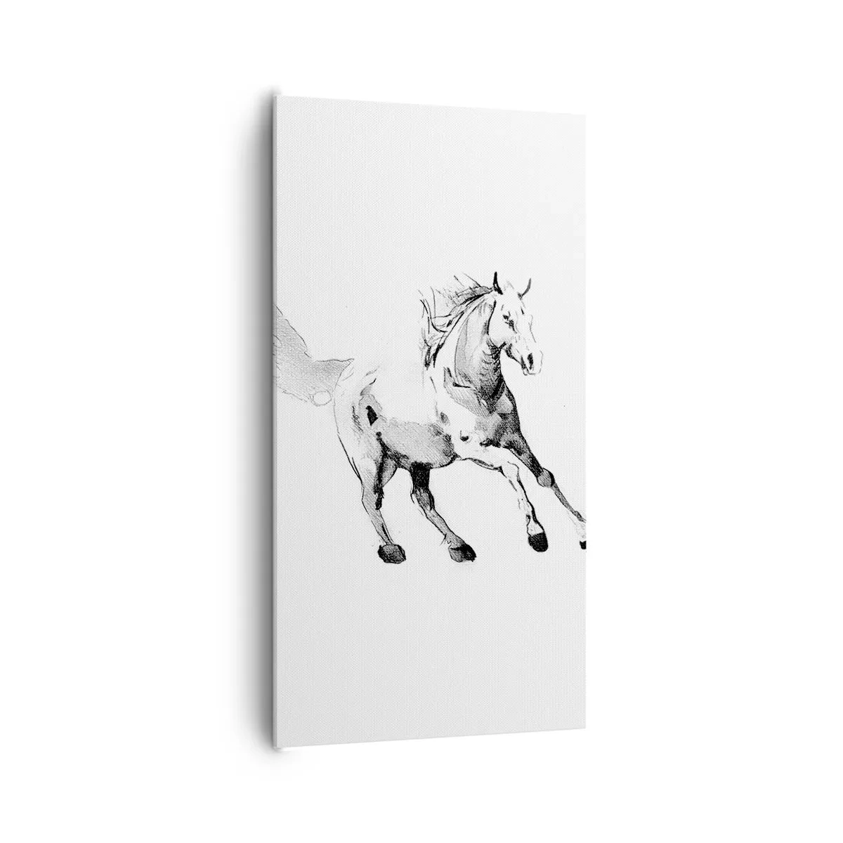 Schilderen op canvas - Ongetemde ziel - 65x120 cm