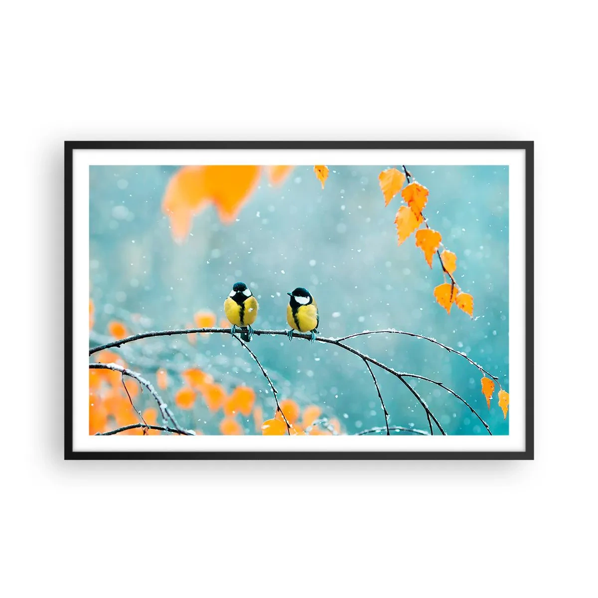 Poster in een zwarte lijst - Vogelroddel - 91x61 cm